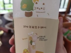 -猫的魔法密林(衣裳街店)