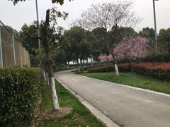 -尚贤河湿地