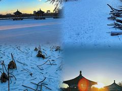 -长春市南湖公园