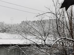 -西昌旅游集散服务中心