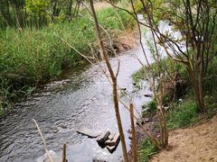 -淇河国家湿地公园