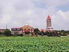 -日照海滨国家森林公园