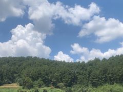 -西江传说•酸汤鱼(水东路店)