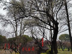 -无锡梅园公园