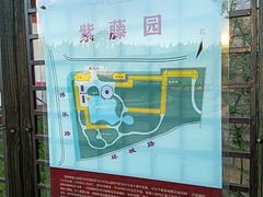 -嘉定紫藤园