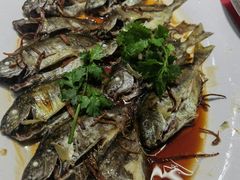 -隆都四季香饭店(碧海路店)