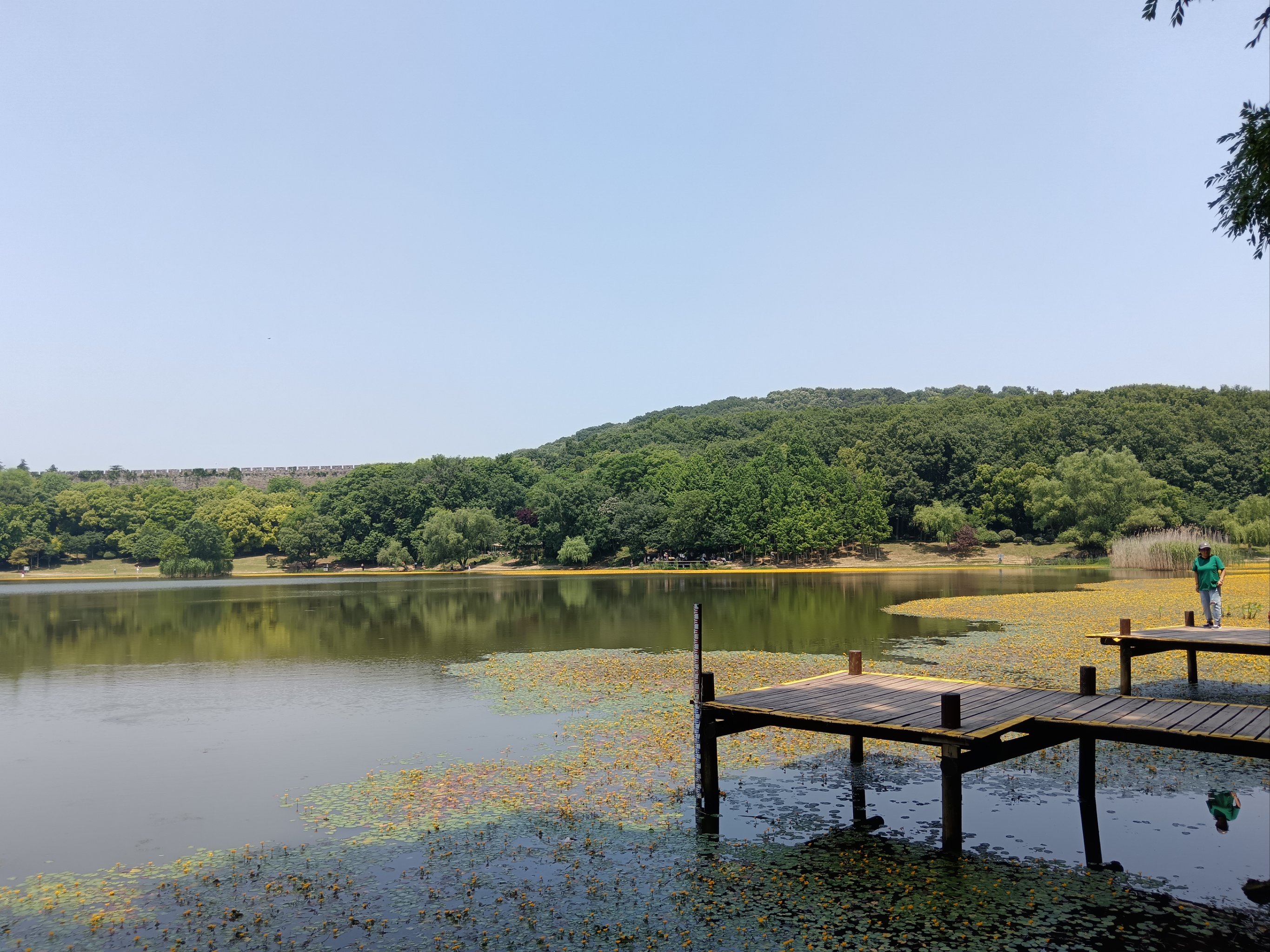 九江琵琶湖图片