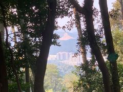 -白云山风景名胜区