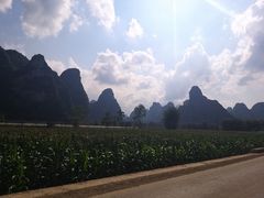 -明仕田园
