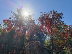 -天津盘山风景名胜区