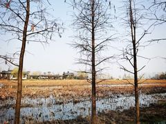 -云龙湖旅游景区