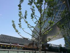 -杭州滨江宝龙城