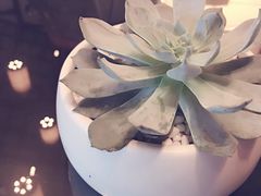 -海口万豪·大堂吧·望海吧.日落海景·下午茶·奶茶·咖啡·轻食·蛋糕·鸡尾酒·清吧