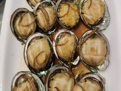 -川林海鲜酒家·湾仔传统早茶·粤菜