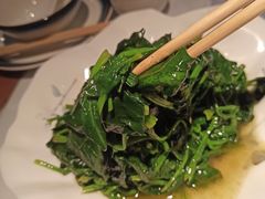 清炒菠菜-松沪名灶·豆浆鱼头·新上海菜(飞航吾悦广场店)