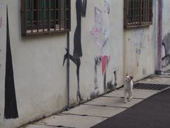 -槟城街头艺术街区