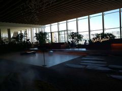 -Seesaw Coffee(朝阳大悦城店)