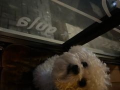 -gula