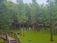 -青山湖景区