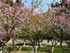 -白塘生态植物园