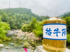 -石台牯牛降景区