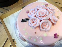 -哈根达斯(龙湖时代天街店)