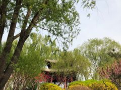 -北坞公园
