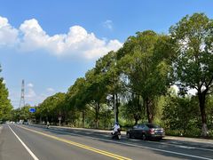 -昆山城市生态森林公园