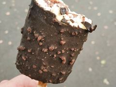 -昆山城市生态森林公园