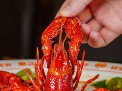 -七寸飝大饭店(马场店)