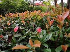 -上海财经大学(国定路校区)