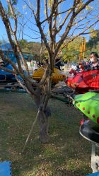 -大望京儿童游乐场