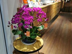 -煮叶(悠唐广场店)