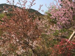 -木兰云雾山