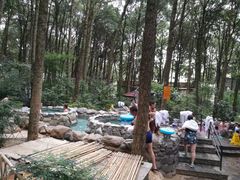 -金方森林温泉