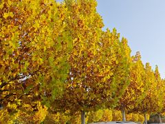 -朝阳公园游乐园