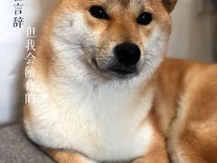 -About Bistro關於·泰式家庭料理