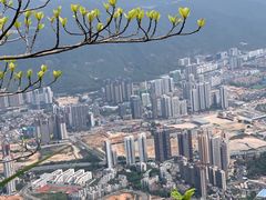 -梧桐山风景名胜区