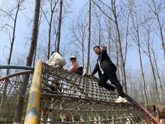 -合肥滨湖国家森林公园