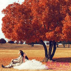 -施华洛婚纱摄影会所(范阳中路店)