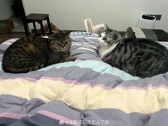 -味千拉面(光启城时尚购物中心店)