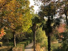 -小厨娘淮扬菜(六合欢乐港店)