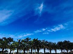 -星巴克(三亚海棠湾国际免税城店)