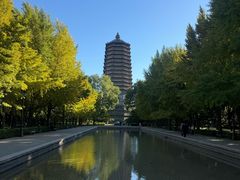 -玲珑塔公园