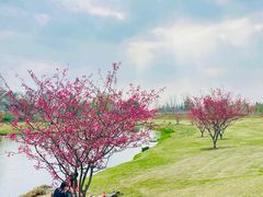 -上海辰山植物园