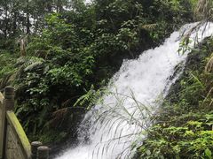-遂昌金矿国家矿山公园