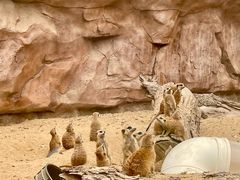 -武汉动物园