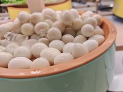 -龍歌自助小火锅(市北台东利群店)