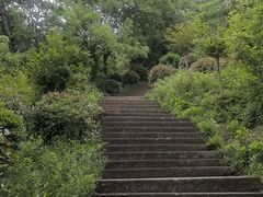 -巢湖姥山岛