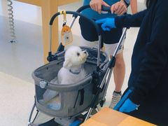 -Apple零售店(珠江新城店)